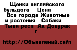 Щенки английского бульдога  › Цена ­ 60 000 - Все города Животные и растения » Собаки   . Тыва респ.,Ак-Довурак г.